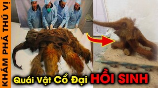 🔥 7 Quái Vật Cổ Đại Lớn Nhất Và Nguy Hiểm Nhất Đang Được Các Nhà Khoa Học Hồi Sinh |KPTV