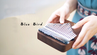 Music Playing｜Blue Bird