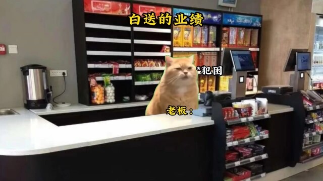 店主：一会想到发生的事情我就想笑#猫meme #真实还原 #抽象 #猫meme小剧场