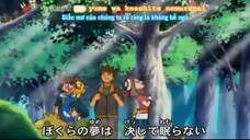 Pokemon Tập 290