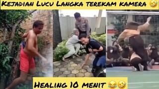 Kumpulan Video Lucu Langka Yang Terekam Kamera Bikin Ngakak Sakit Perut 😂🤣 | Funny Video Challenge