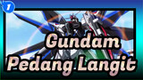 Gundam|[Pedang Langit/Sayap Kebangkitan]Gundam SEED_1