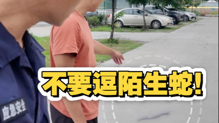 อย่าแหย่งูที่ไม่รู้จัก!