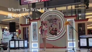 Cia - Where The Wind Blows