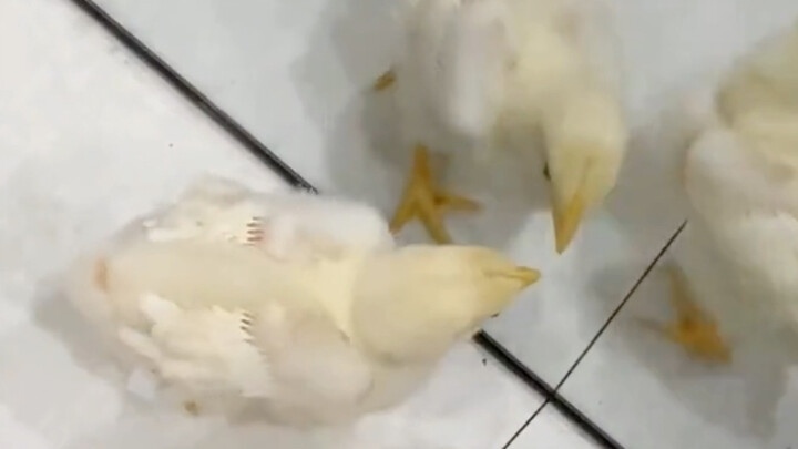 تذكرت شخصًا عزيزًا!