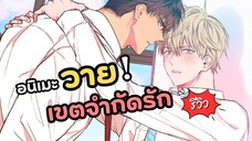 เขตจำกัดรัก อนิเมะวายเกาหลี | No love zone