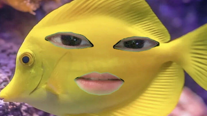 How Did God Create Fish?