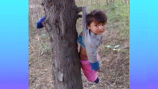 Try Not To Laugh : Funny Babies To Make You Smile Everyday | Funny Videos