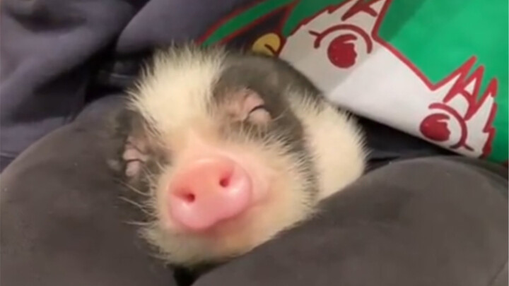 Baby, you are so cute when you sleep