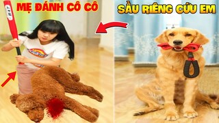 Thú Cưng Vlog | Sầu Riêng Và Cô Cô #8 | Chó gâu đần thông minh vui nhộn | Funny smart pet dog