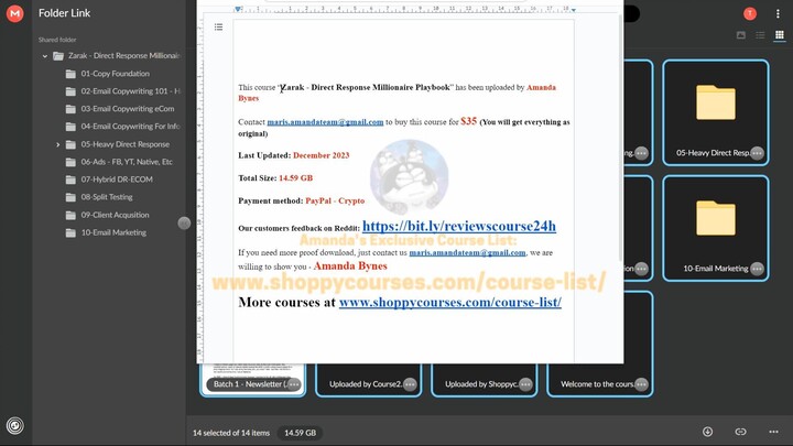 [Coures24h.com] Zarak - Direct Response Millionaire Playbook