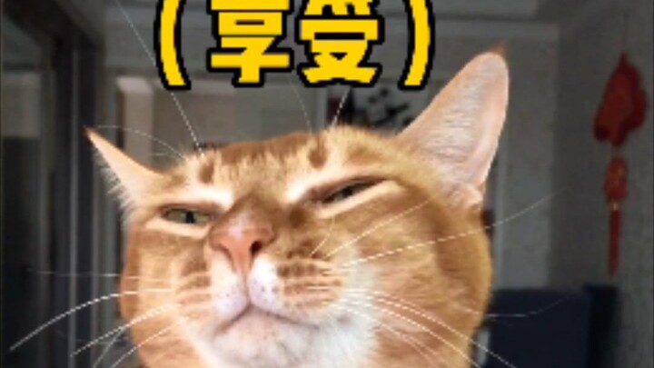 【Dundun】Is this why I'm being disliked?