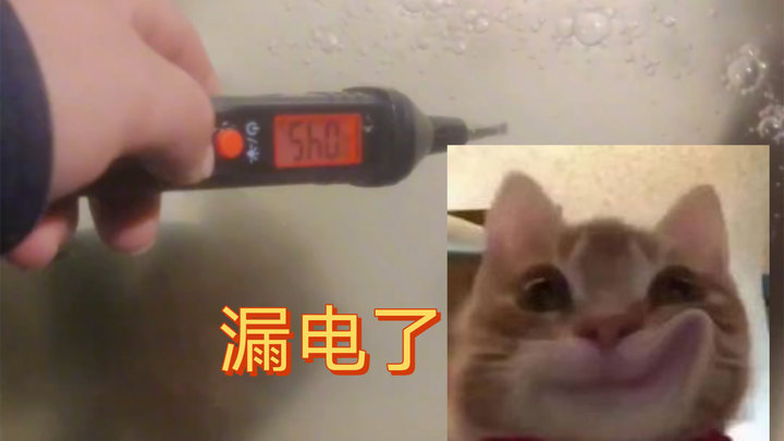 Turtle 🐢: Why does the water feel more and more tingly the more I swim today?