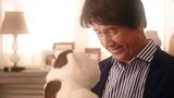 A Man and his cat (2021) ep 6 eng sub live action drama