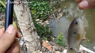 fish video New  fishing video amazing fishing part 3