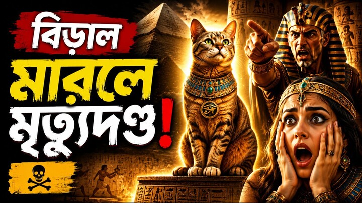 প্রাচীন মিশরে বিড়াল মারলে ছিল মৃত্যুদণ্ড! আসল কারণ জানলে অবাক হবেন