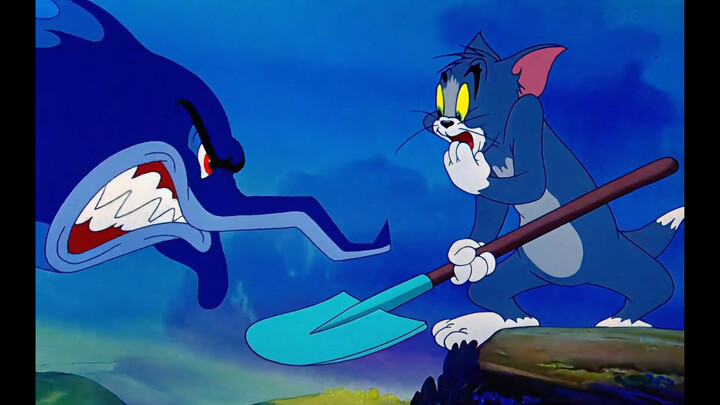 Tom bilang kalau diperbaiki masih bisa dipakai.