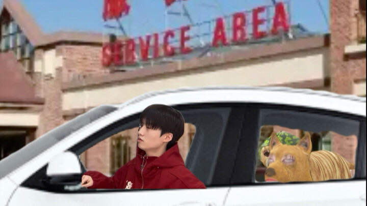 แมวเมืองกลับบ้าน พาแมวชนบทเข้าเมืองเป็นครั้งแรก