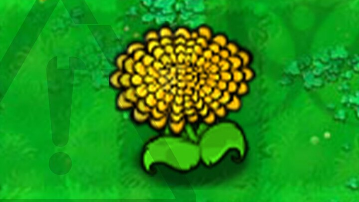 Sunflower All Over the Face