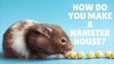 How do you make a hamster house?