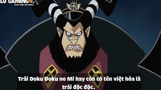 Top 7 Trái Paramecia Phòng Thủ Cực Mạnh Trong One Piece p3