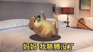 玩手机的后果