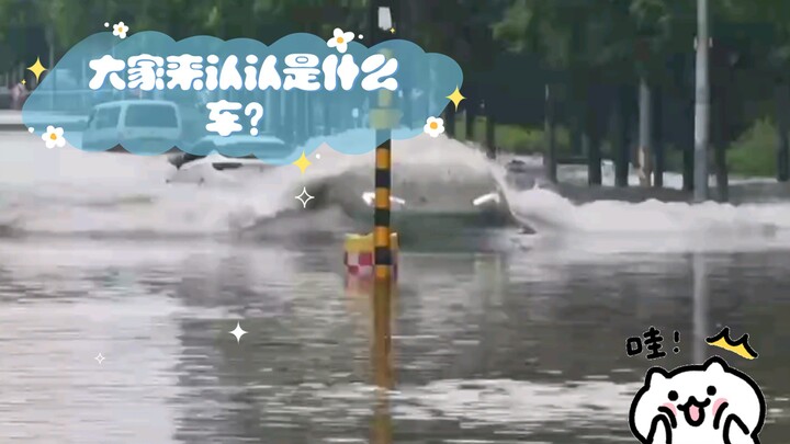 تعالوا جميعًا وحاولوا التعرف على نوع السيارة!