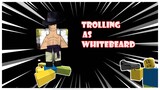 Whitebeard Trolling |Blox-Fruits |Roblox