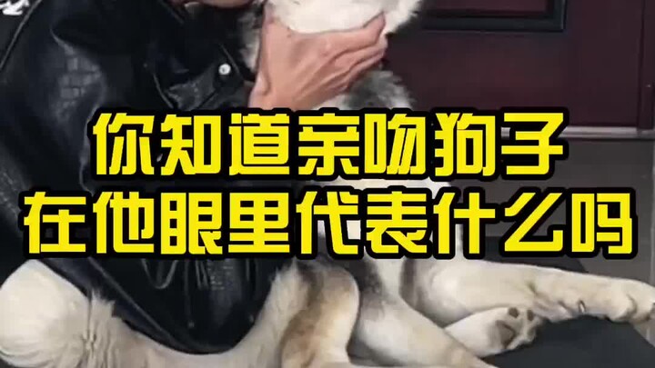 คุณรู้ไหมว่าการจูบสุนัขในสายตาของมันหมายถึงอะไร?