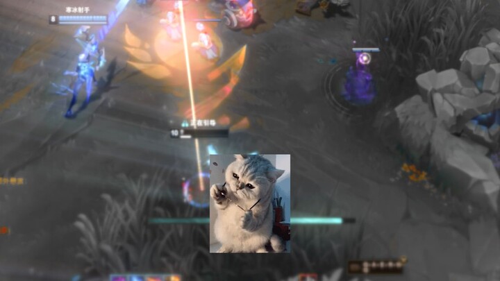 Ê anh bạn, VN của mày đó hả?