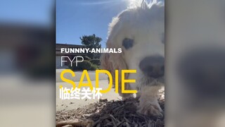 Sadie spent her last day on Earth