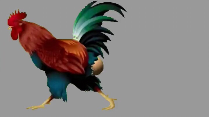 เฮยจื่อ ถ้ากล้าก็อย่ากินไข่ที่พี่ชายฉันวางไว้สิ! ! !