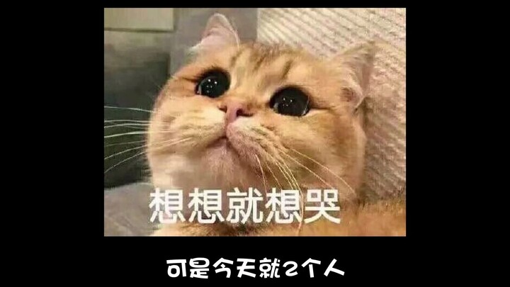 My girlfriend cried so sadly but it was really funny