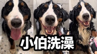 Happy Little Bo's Bath Routine!