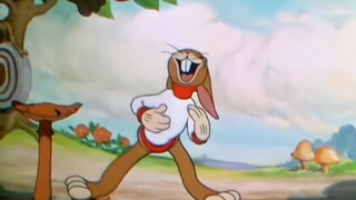 النسخة الأمريكية من سباق السلحفاة والأرنب: الأرنب لم يخسر أمام السلحفاة، بل خسر أمام الغطرسة والتعال