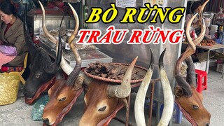 Chợ phiên THÁC BẠC LÀO CAI phiên chợ bán nhiều dao mèo & thảo dược Tây Bắc | Tôi Người Vùng Cao