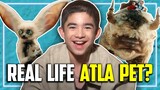 AVATAR: THE LAST AIRBENDER Cast Pick Their Live-Action Pets!