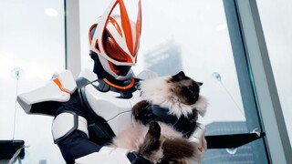 极狐和猫猫，best match！