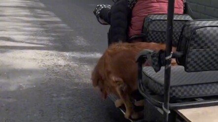 Cewek muda secara tak sengaja bertemu seorang “nenek ceroboh” di jalan dan baru mau mendekat untuk m