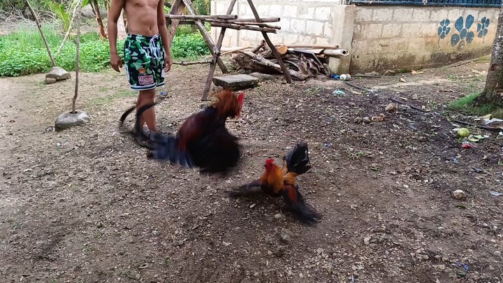 πΌπππππ π±ππππ π
π π½πππππππ πΆππππππ ππππ