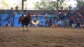 para champion win big time kalaban