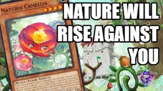 NATURIA - Ten Minute Testing