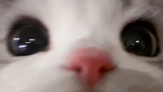 ฉันเกลียดคนที่ไม่มีขอบเขต!
