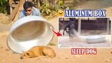 Dog Funny Video, Prank Dog sleep Video