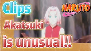 [NARUTO]  Clips | Akatsuki is unusual!!