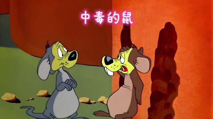 两只老鼠吃了过期奶酪，有些食物中毒