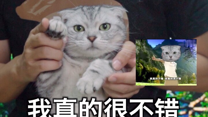 One session a day to prevent depression. A human-cat duet will help you step out of the shadows! De-