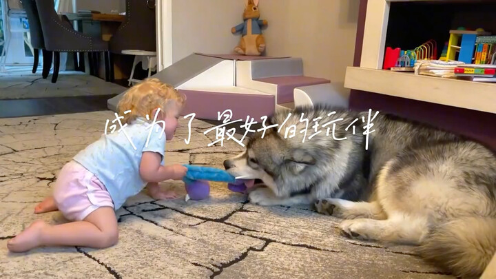 If You Have a Baby, You Must Get a Dog: A Heartwarming Tale of Mutual Growth Between Human Babies an