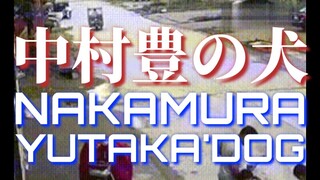 【合集】中 村 豊 の 犬