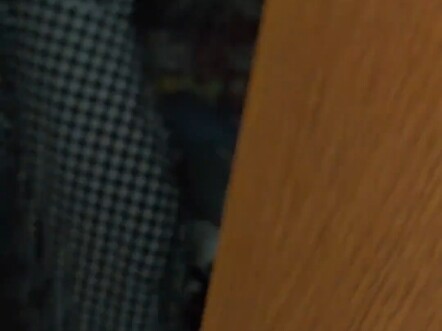 The reason for Little Pancake’s nearsightedness has been found: he secretly hides books under his pi